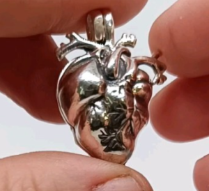 CORAZON ANATOMICO CON CAPSULA(1)