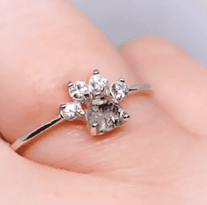 Anillo Huella Eterna con cenizas