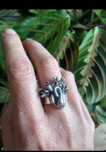 Anillo CORARBOL